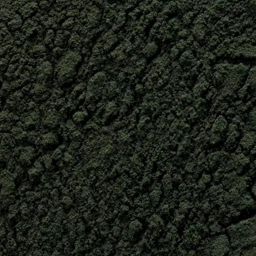 Chlorella Powder 1 lb.