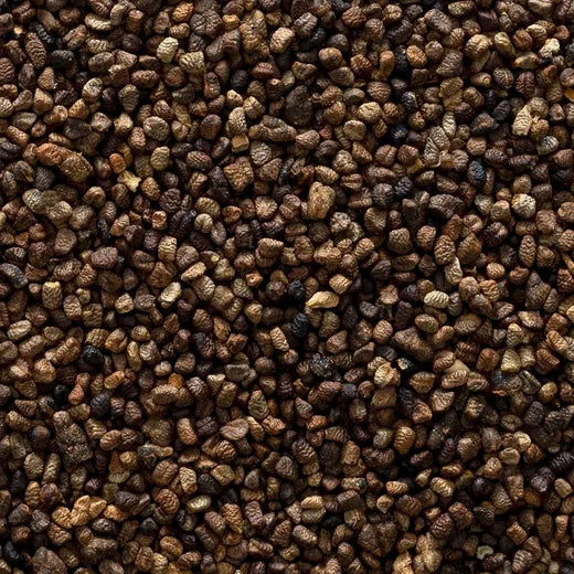 Decorticated Cardamom Seed, Whole, Organic 1 lb