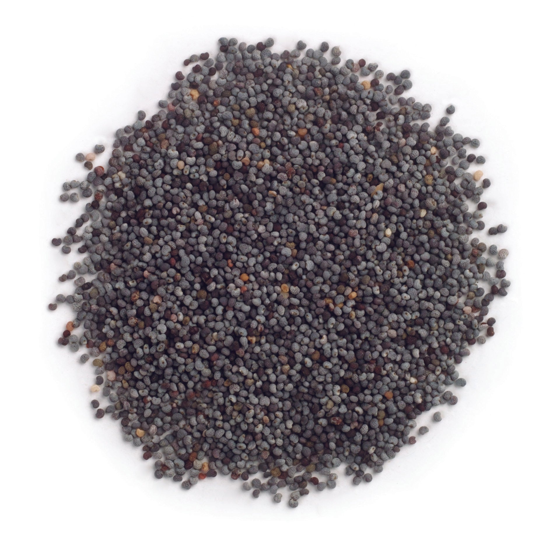 Frontier Co-op Poppy Seeds, Whole, Organic 1 lb.