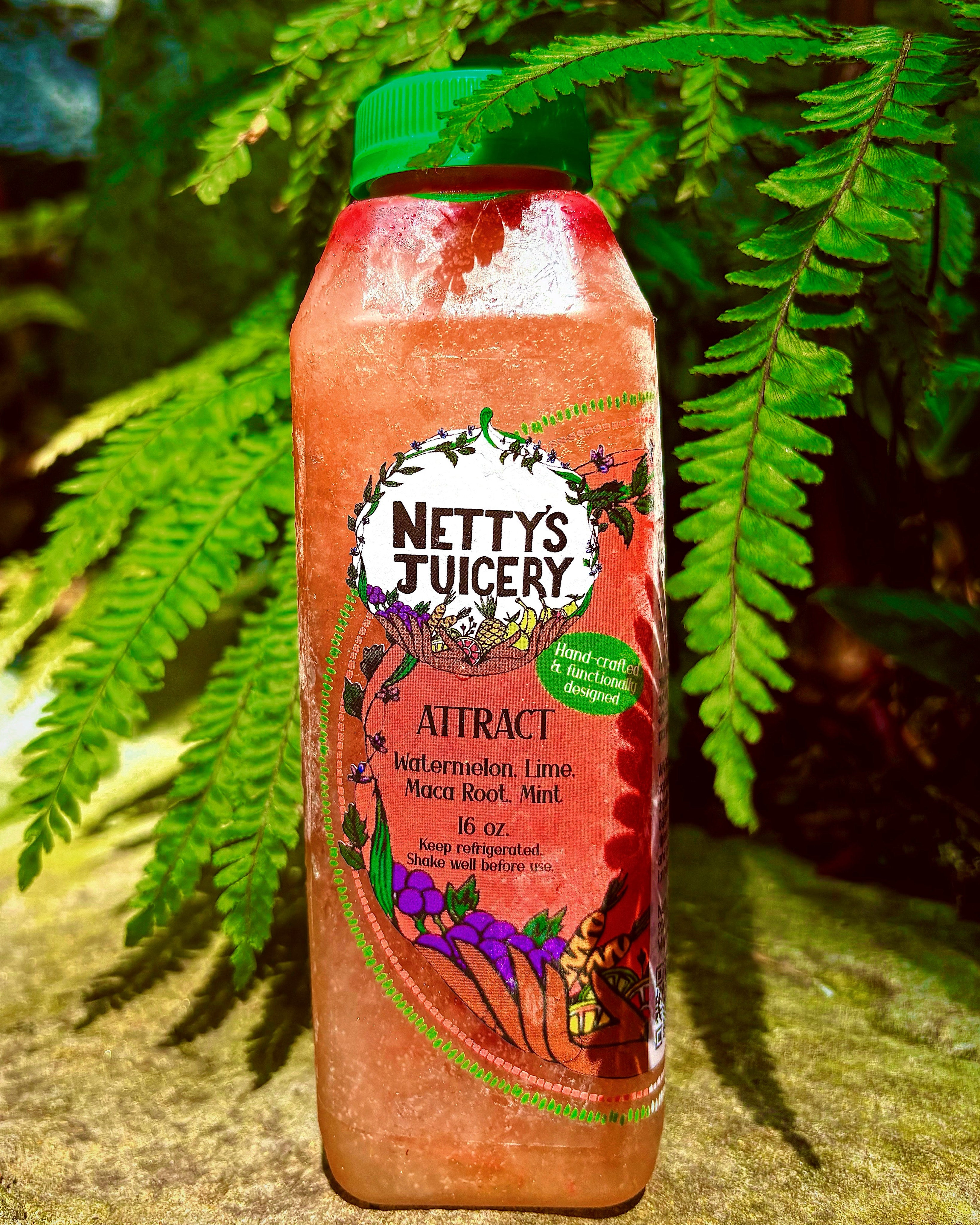 Juicing Plan - (Bronze)