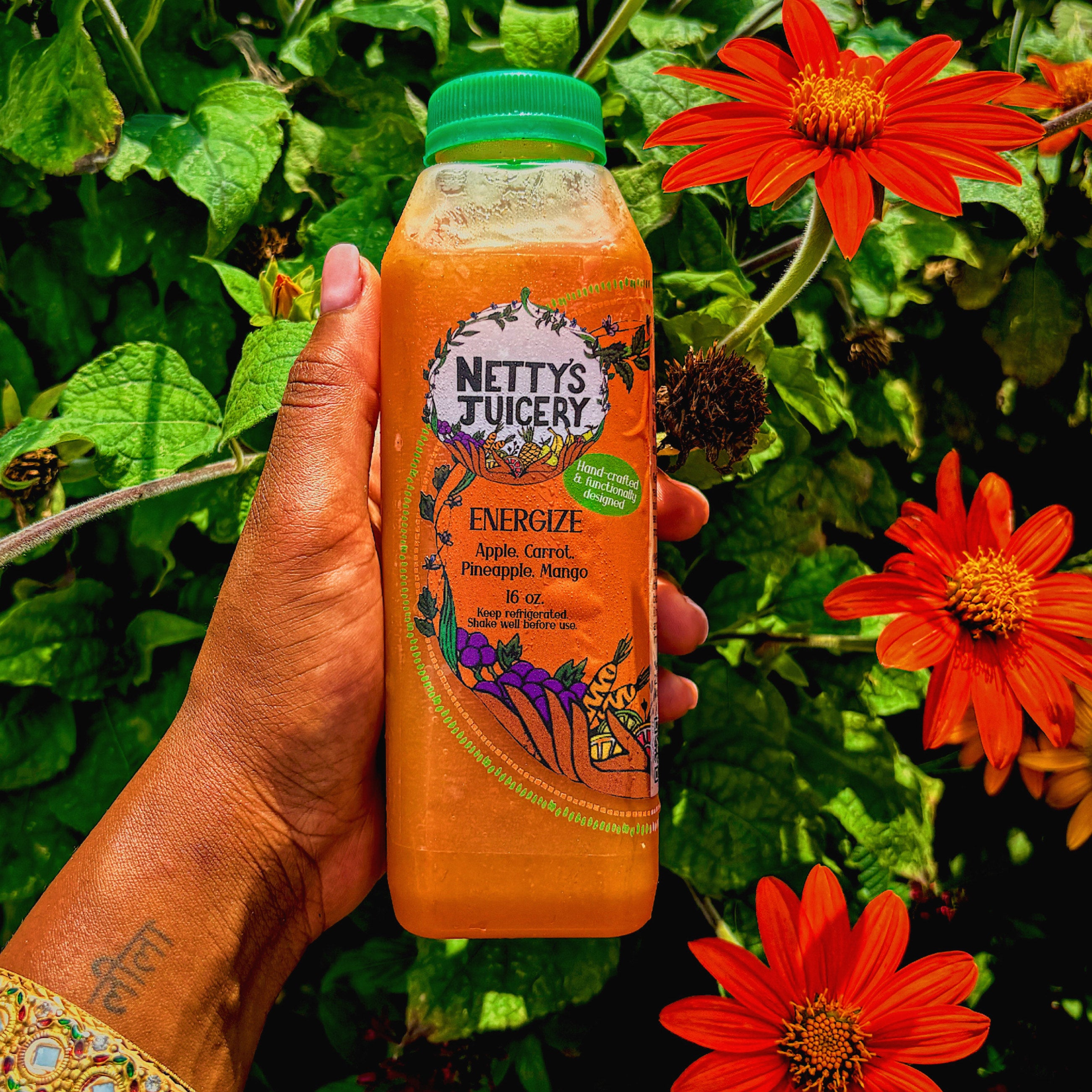 Juicing Plan - (Bronze)
