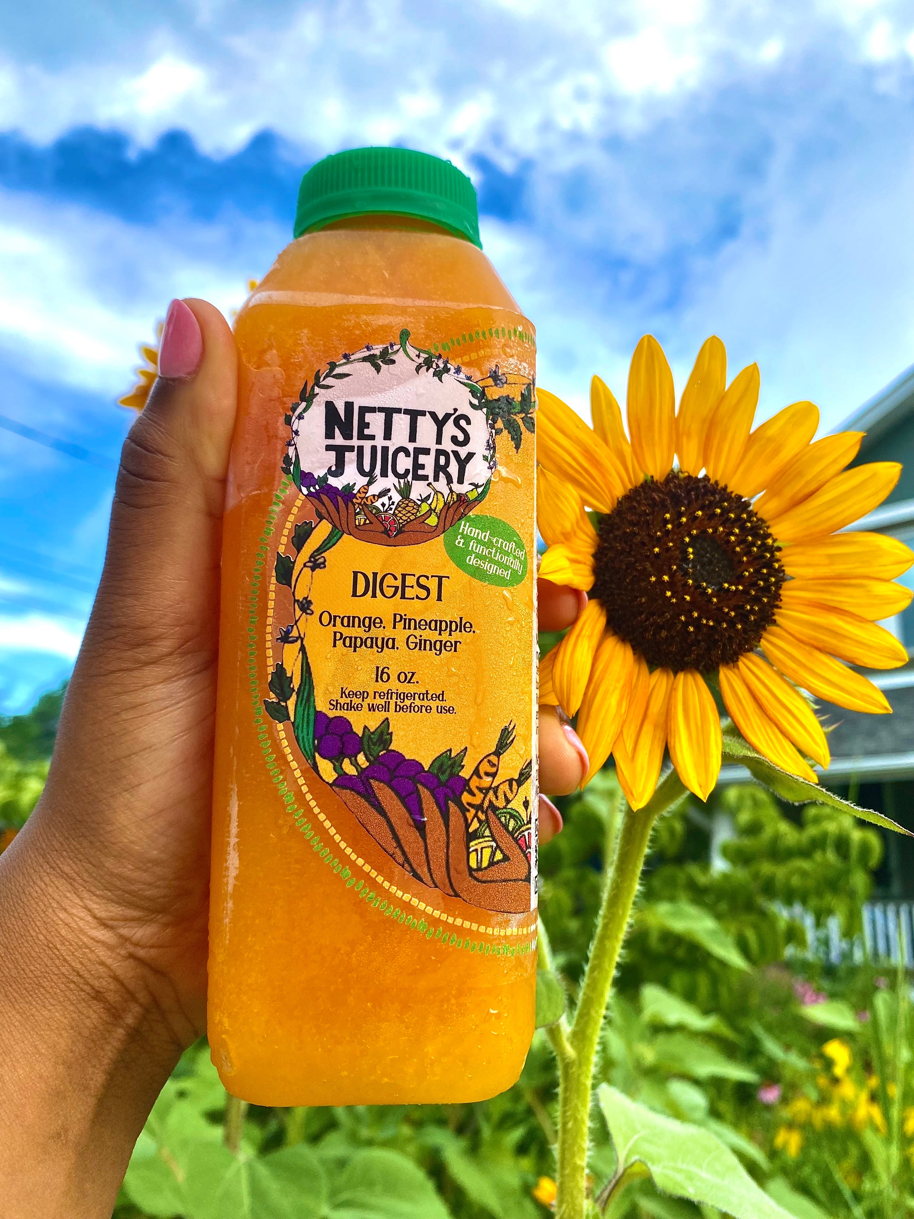 Juicing Plan - (Bronze)