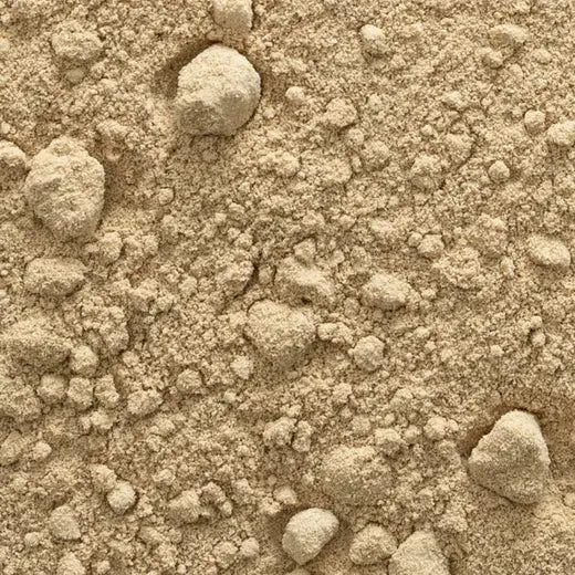 Burdock Root Powder, Organic 1 lb