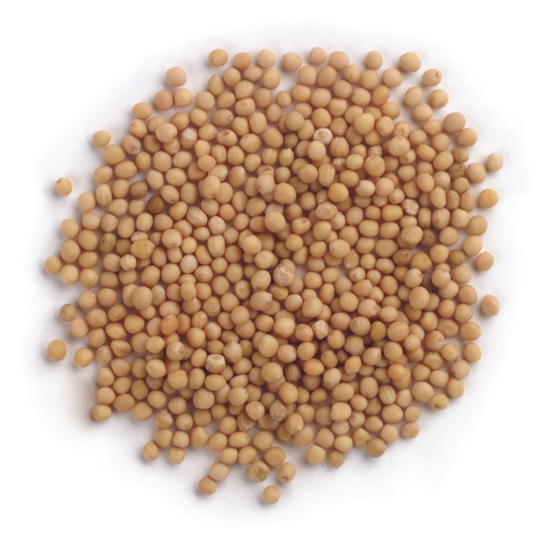 Frontier Co-op Yellow Mustard Seed, Whole 1 lb.